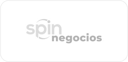 Logo-Spin-grey